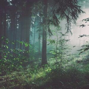 俄罗斯毛茸茸自慰
